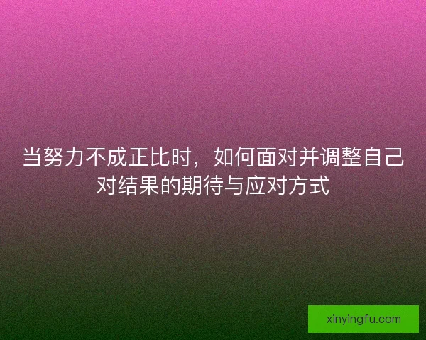 当努力不成正比时，如何面对并调整自己对结果的期待与应对方式